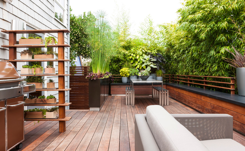 На фото: терраса на заднем дворе в современном стиле с растениями в контейнерах без защиты от солнца