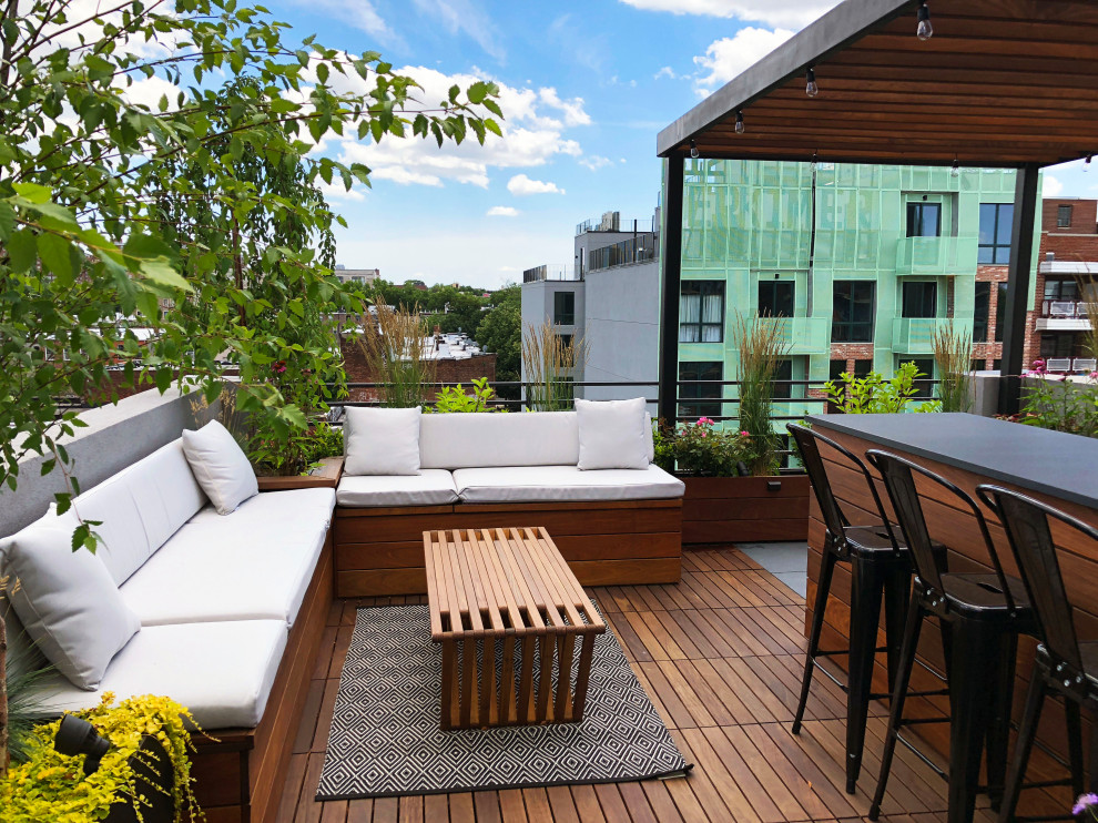 Esempio di una terrazza minimalista sul tetto con un giardino in vaso e una pergola