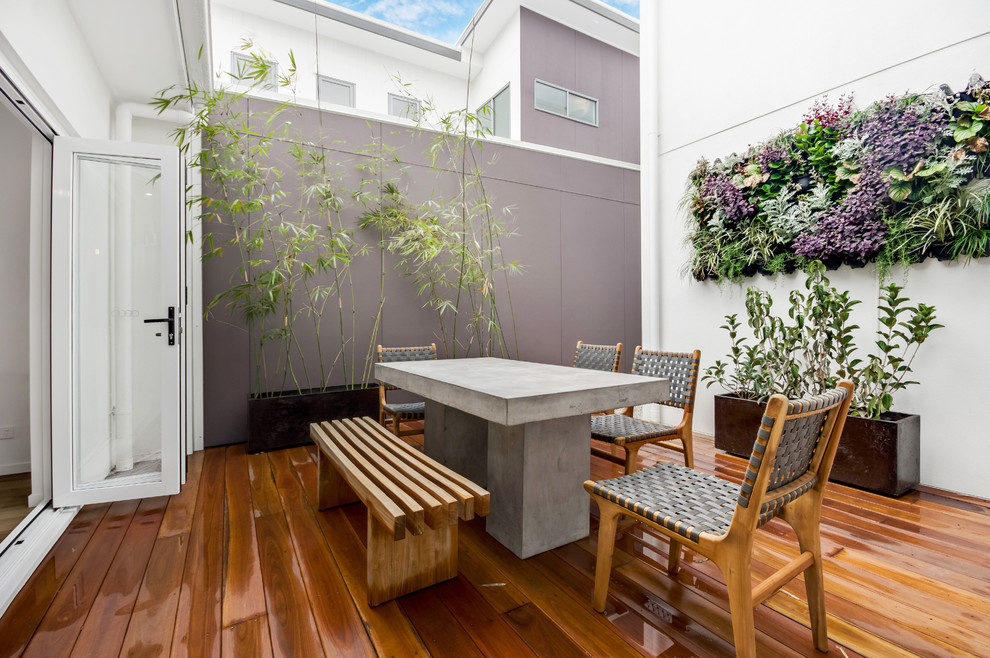 Inspiration för stora moderna terrasser längs med huset, med en vertikal trädgård
