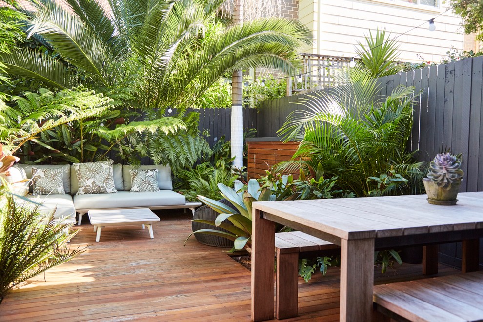シドニーにあるトロピカルスタイルのおしゃれな裏庭のデッキ (日よけなし) の写真