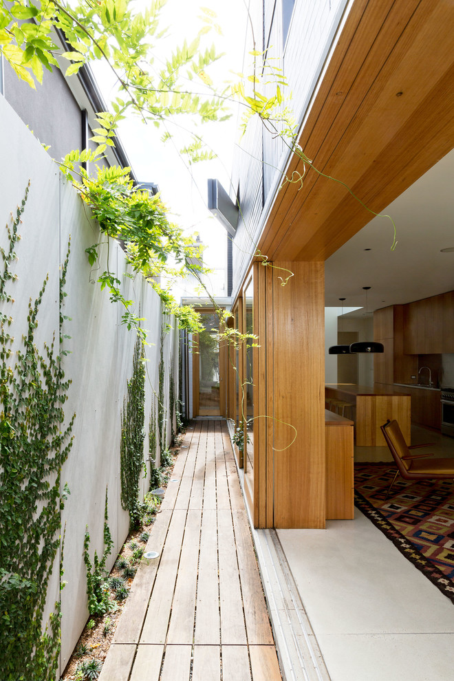 Свежая идея для дизайна: терраса на боковом дворе в стиле модернизм без защиты от солнца - отличное фото интерьера