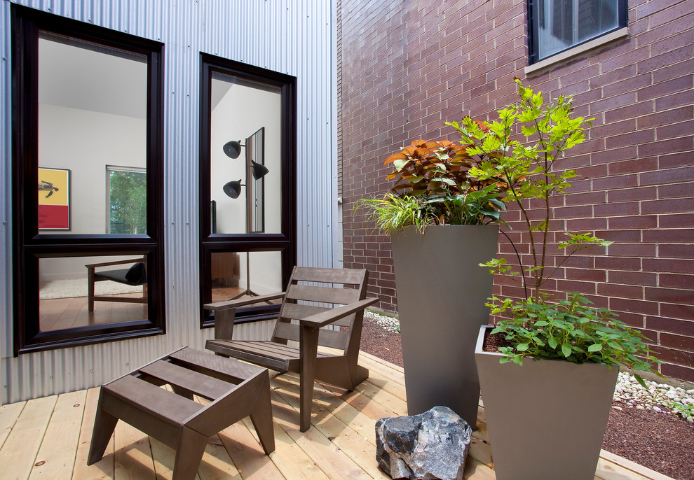 Ispirazione per una piccola terrazza moderna in cortile con un giardino in vaso e nessuna copertura
