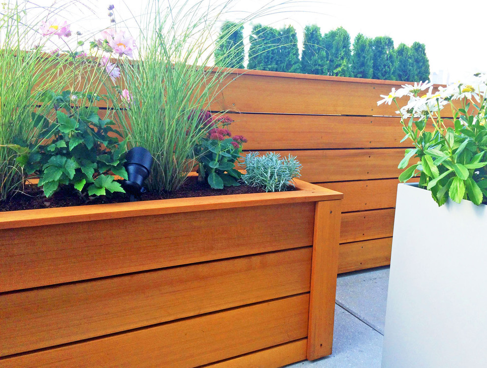 This is an example of a contemporary roof terrace in New York with a potted garden.