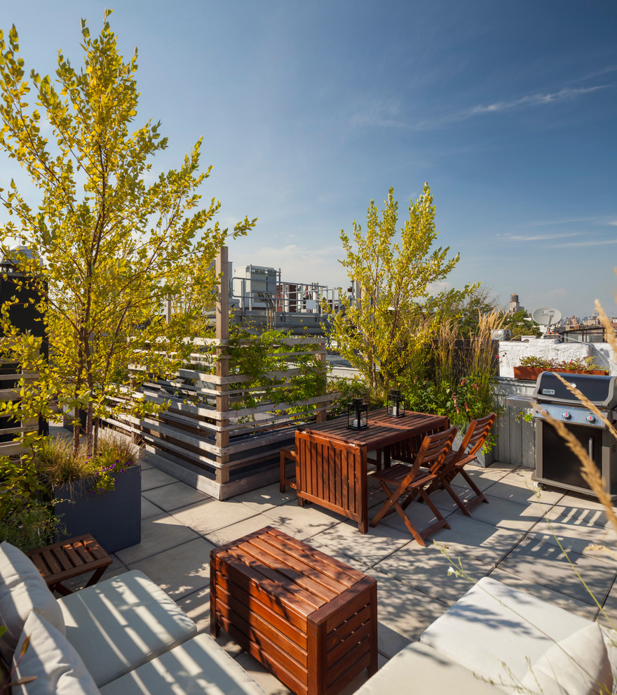 Foto de terraza contemporánea en azotea con jardín de macetas