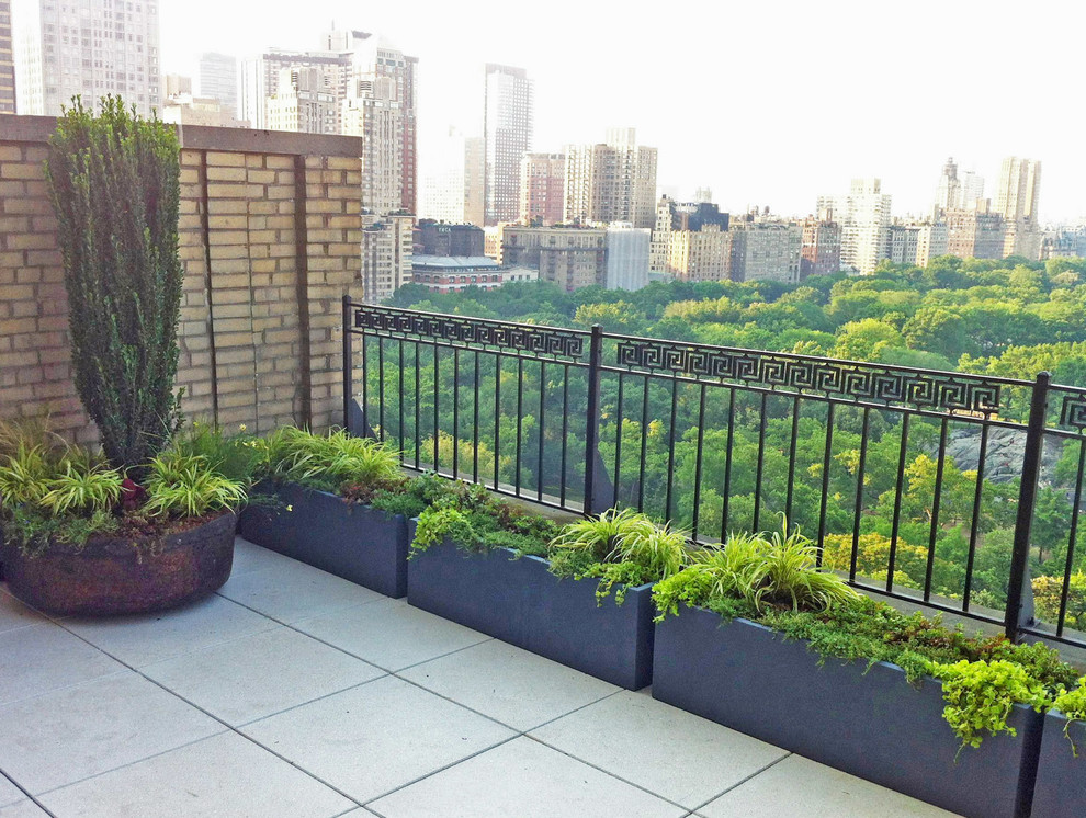 Central Park Roof Garden Terrace, Paver Deck, Patio, Metal Fence, Containers Contemporary