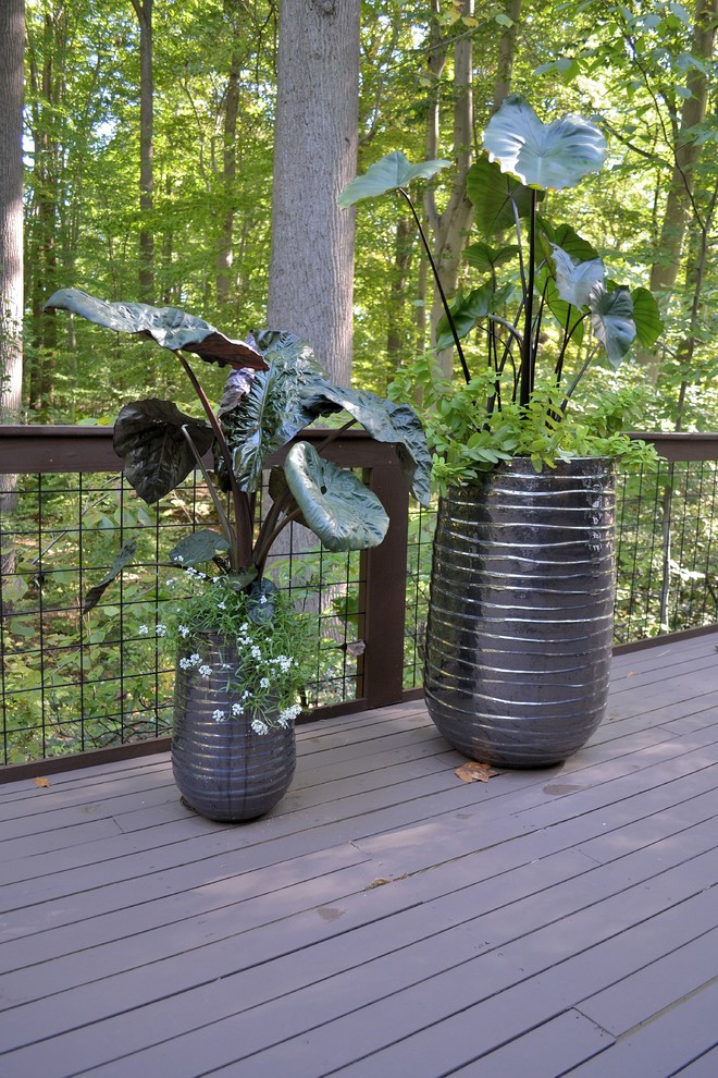 Foto di una grande terrazza eclettica dietro casa con un giardino in vaso