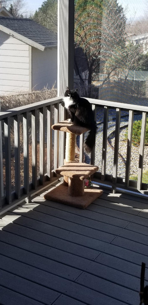 catio on deck