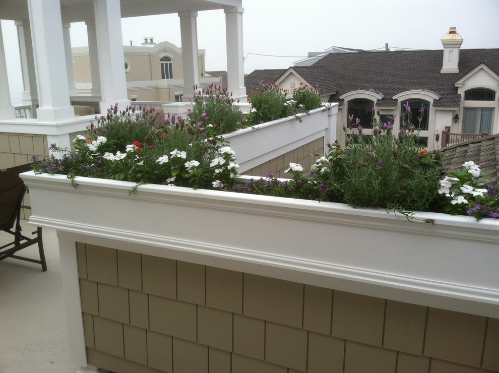 Design ideas for a medium sized traditional roof terrace in Philadelphia with a potted garden and no cover.