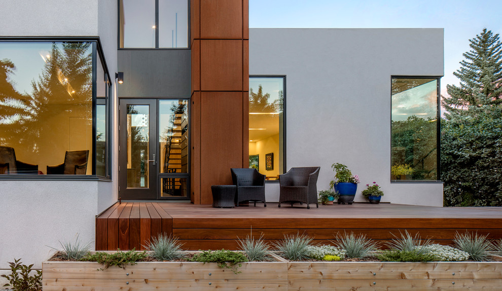 Unbedeckte Moderne Terrasse hinter dem Haus mit Kübelpflanzen in Phoenix