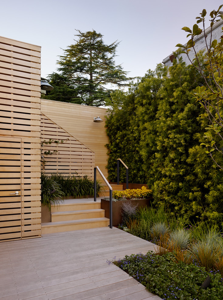 This is an example of a medium sized contemporary back terrace in San Francisco with a living wall and no cover.