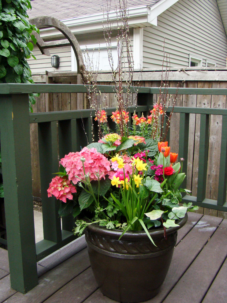 Foto di una piccola terrazza contemporanea dietro casa con un giardino in vaso