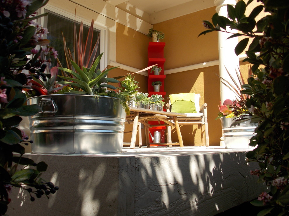 На фото: терраса на заднем дворе в морском стиле с растениями в контейнерах и навесом с