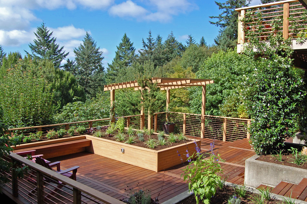 Modelo de terraza actual de tamaño medio en patio trasero con pérgola