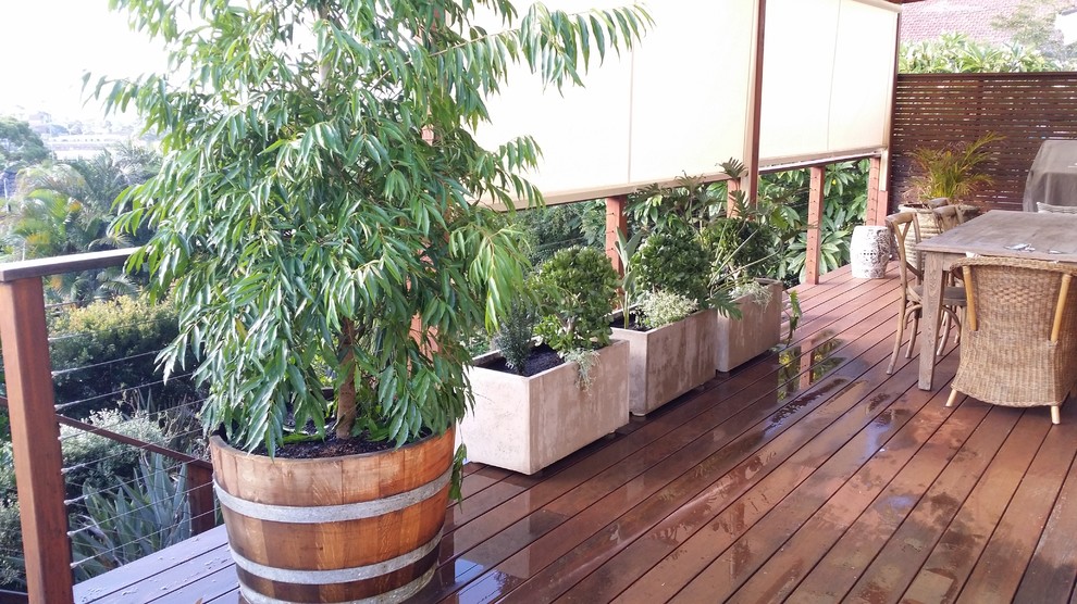 Photo of a large nautical back terrace in Sydney with a potted garden and a pergola.