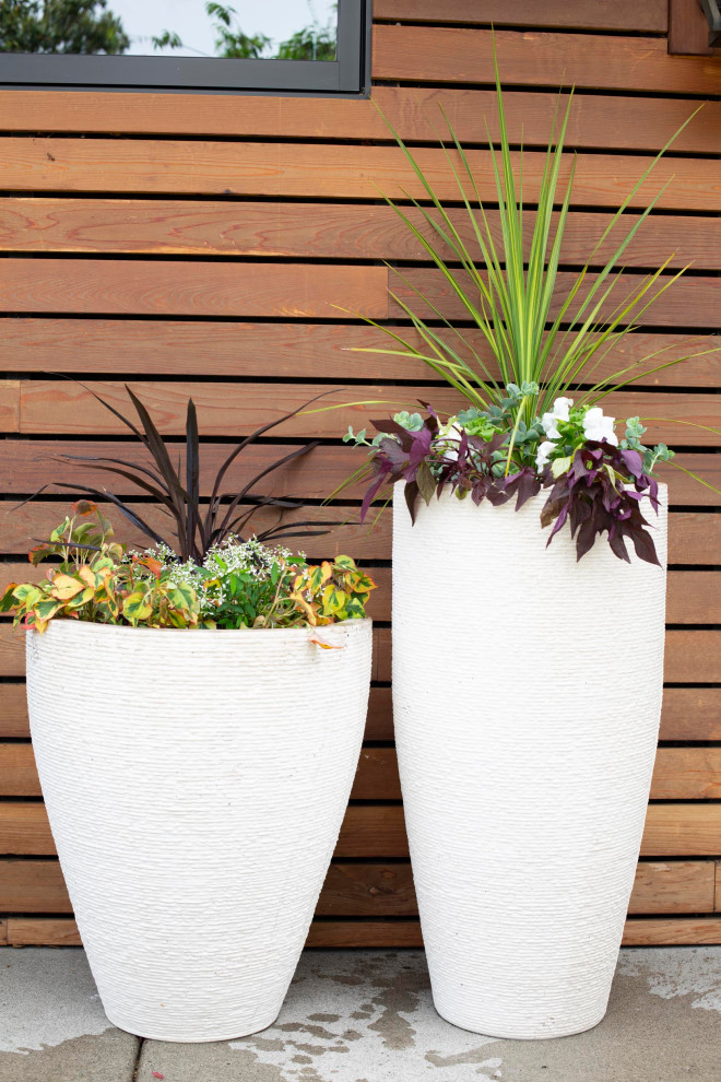 Стильный дизайн: маленькая терраса в современном стиле с растениями в контейнерах без защиты от солнца для на участке и в саду - последний тренд