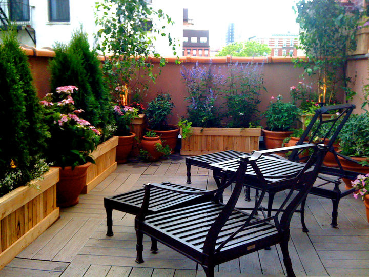 Klassische Dachterrasse mit Kübelpflanzen in New York