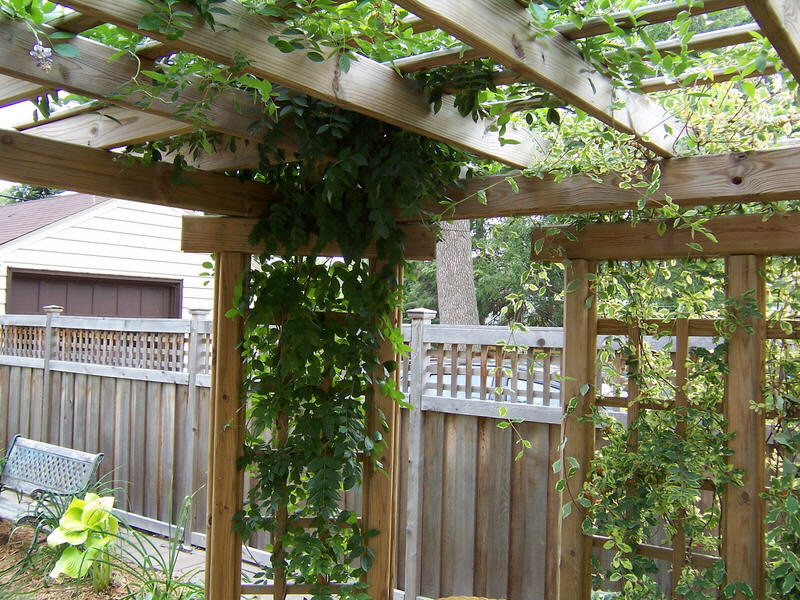 Photo of a small rustic back terrace in Minneapolis with a pergola.