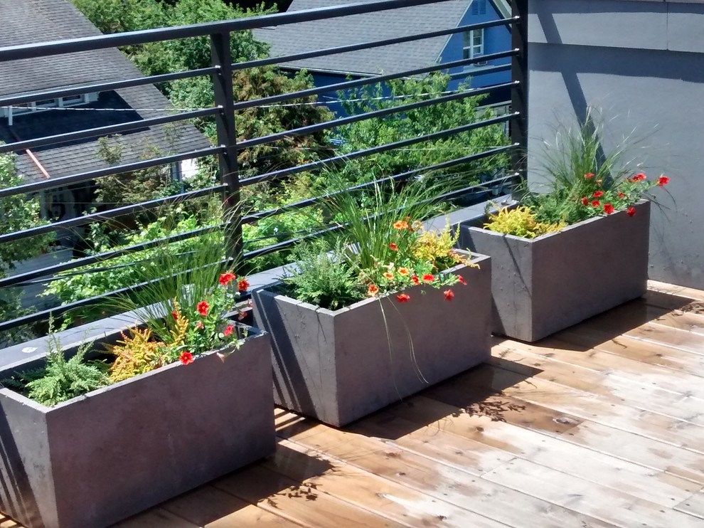 Modelo de terraza minimalista de tamaño medio sin cubierta en azotea con jardín de macetas