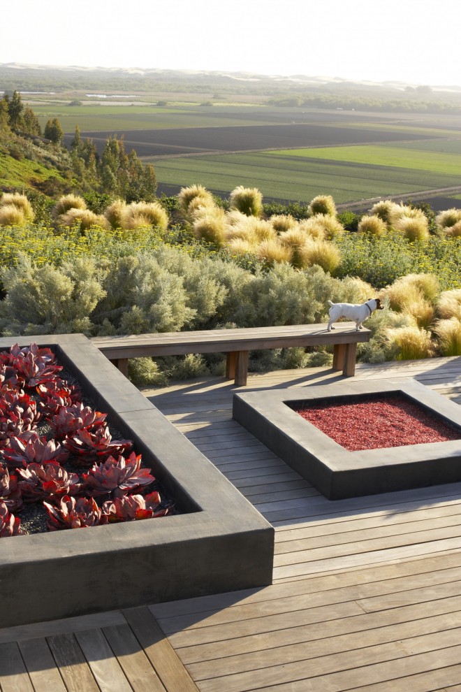 Inspiration for a large contemporary back terrace in San Luis Obispo.