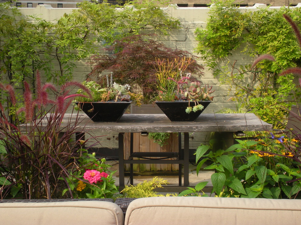 Example of a trendy rooftop deck design in New York with no cover