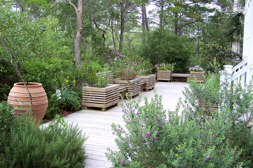 Modelo de terraza costera pequeña sin cubierta en patio trasero con jardín de macetas