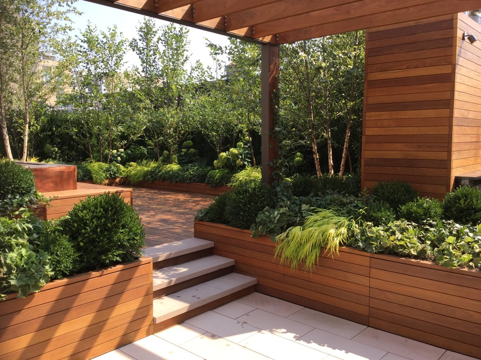Esempio di una grande terrazza minimalista con un giardino in vaso e una pergola