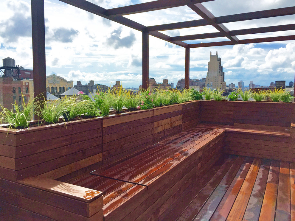 Idee per una terrazza contemporanea sul tetto con un giardino in vaso e una pergola