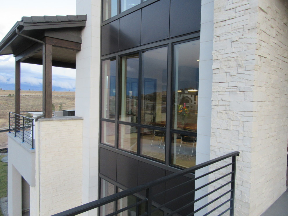 Cette photo montre une très grande terrasse arrière moderne avec une extension de toiture.