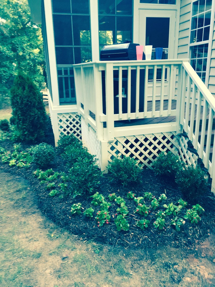 Photo of a small rustic back terrace in Charleston with no cover.