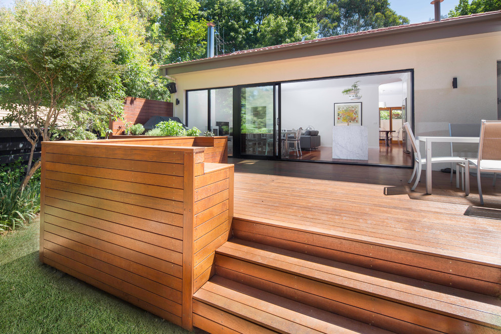 Свежая идея для дизайна: большая терраса на заднем дворе в стиле модернизм с растениями в контейнерах без защиты от солнца - отличное фото интерьера