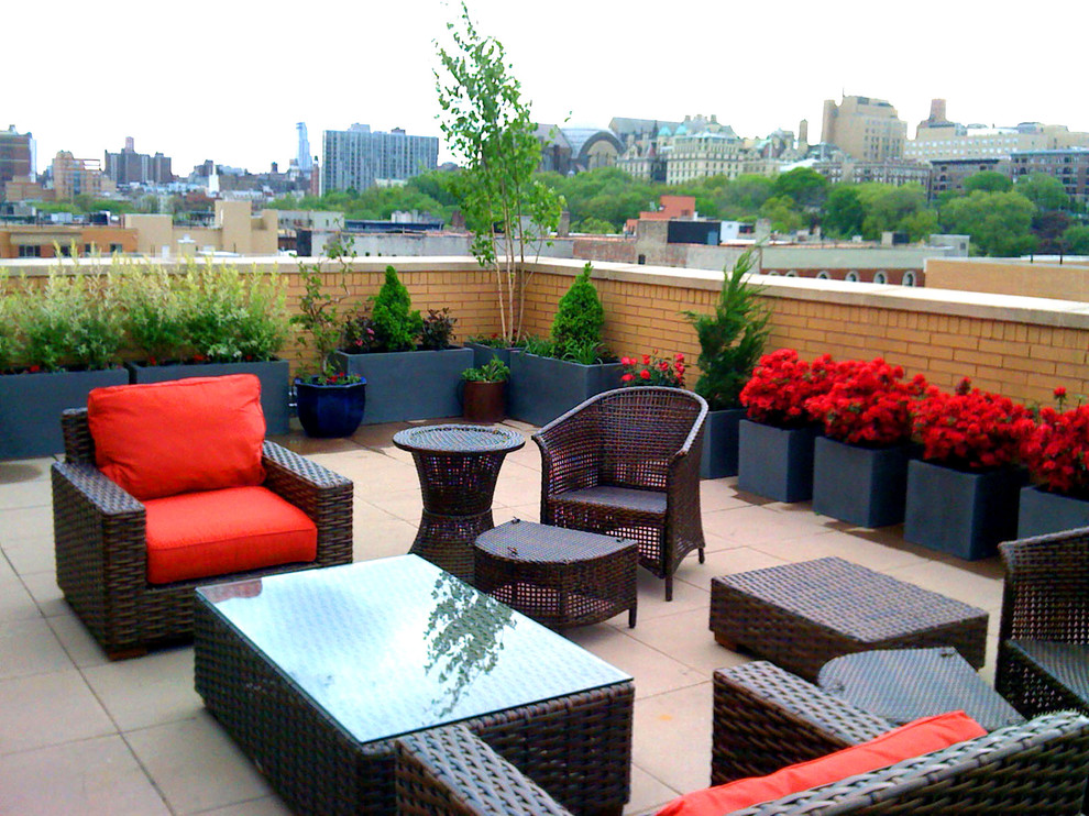 Harlem Nyc Rooftop Garden Design Roof Deck Terrace Outdoor Seating Containe Contemporary Deck New York By Amber Freda Garden Design