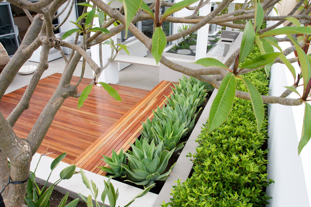 Cette photo montre une terrasse avec des plantes en pots tendance.