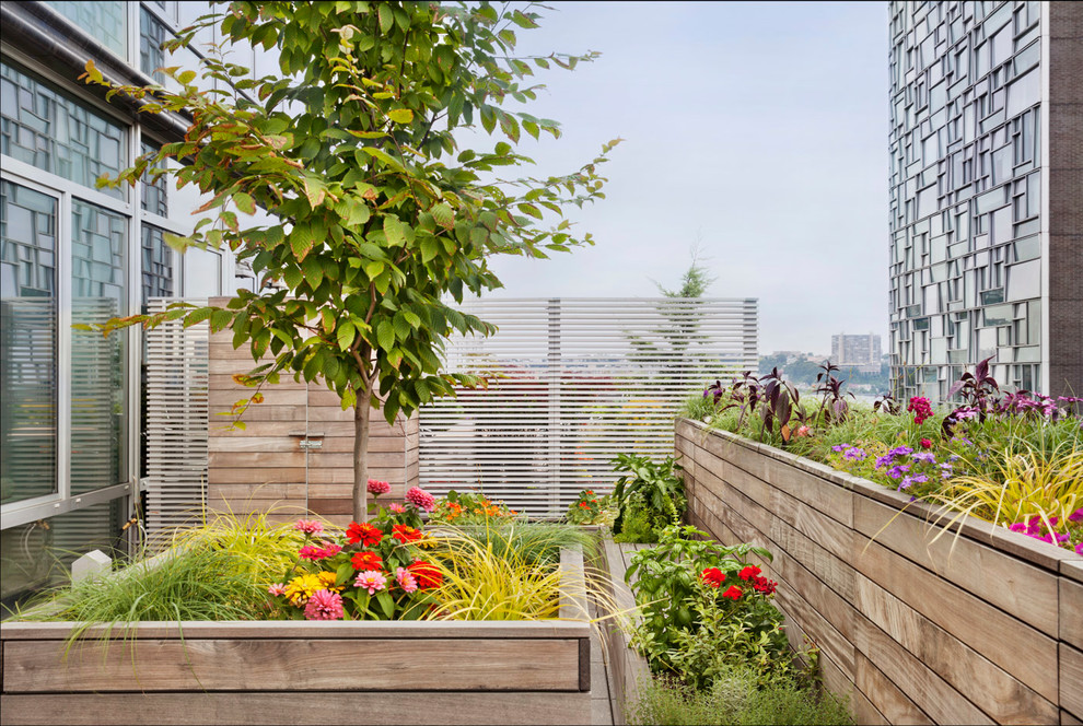 High Line Penthouse, New York, NY - Contemporary - Deck - New York - by ...