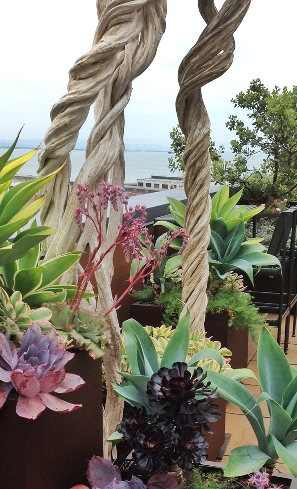 Foto di una piccola terrazza tropicale sul tetto con un giardino in vaso