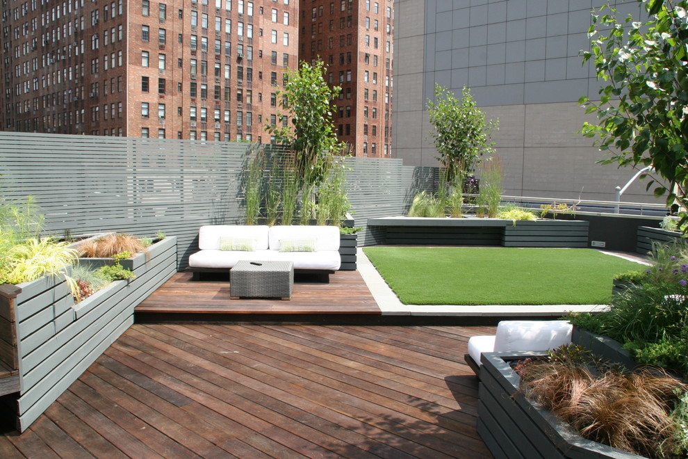 Immagine di una grande terrazza minimalista sul tetto con un giardino in vaso