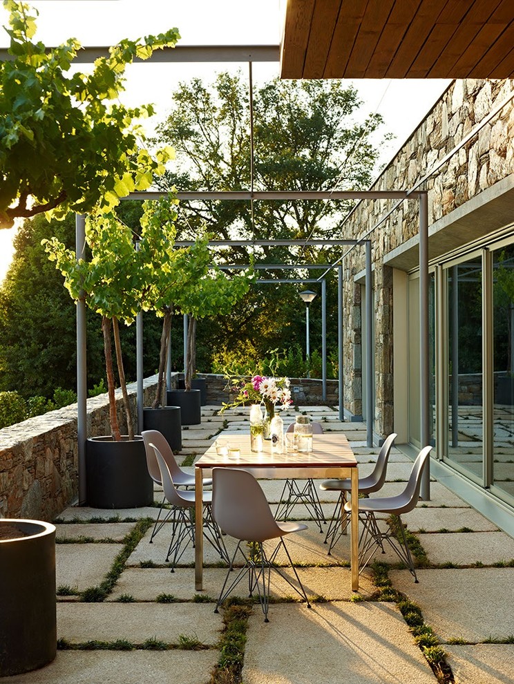 Foto de terraza contemporánea de tamaño medio en patio trasero con pérgola