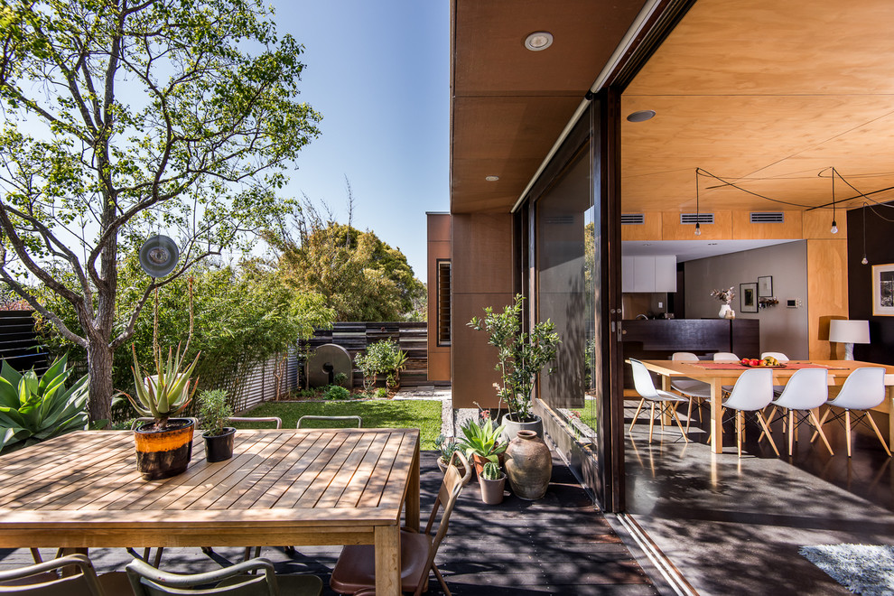 Mittelgroße, Unbedeckte Moderne Terrasse hinter dem Haus mit Kübelpflanzen in Perth