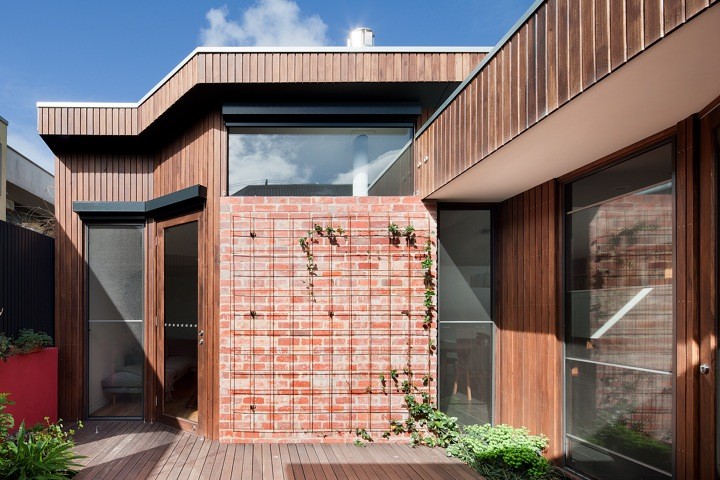 Kleine Moderne Terrasse neben dem Haus mit Pflanzwand und Markisen in Melbourne
