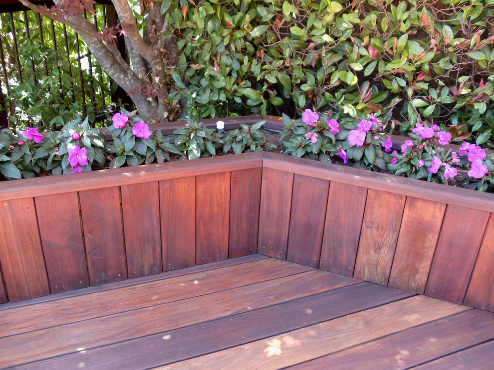 Cette image montre une terrasse avec des plantes en pots arrière traditionnelle de taille moyenne avec aucune couverture.