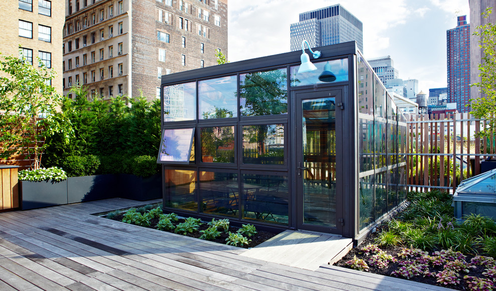 Ispirazione per una grande terrazza contemporanea sul tetto con un giardino in vaso e nessuna copertura