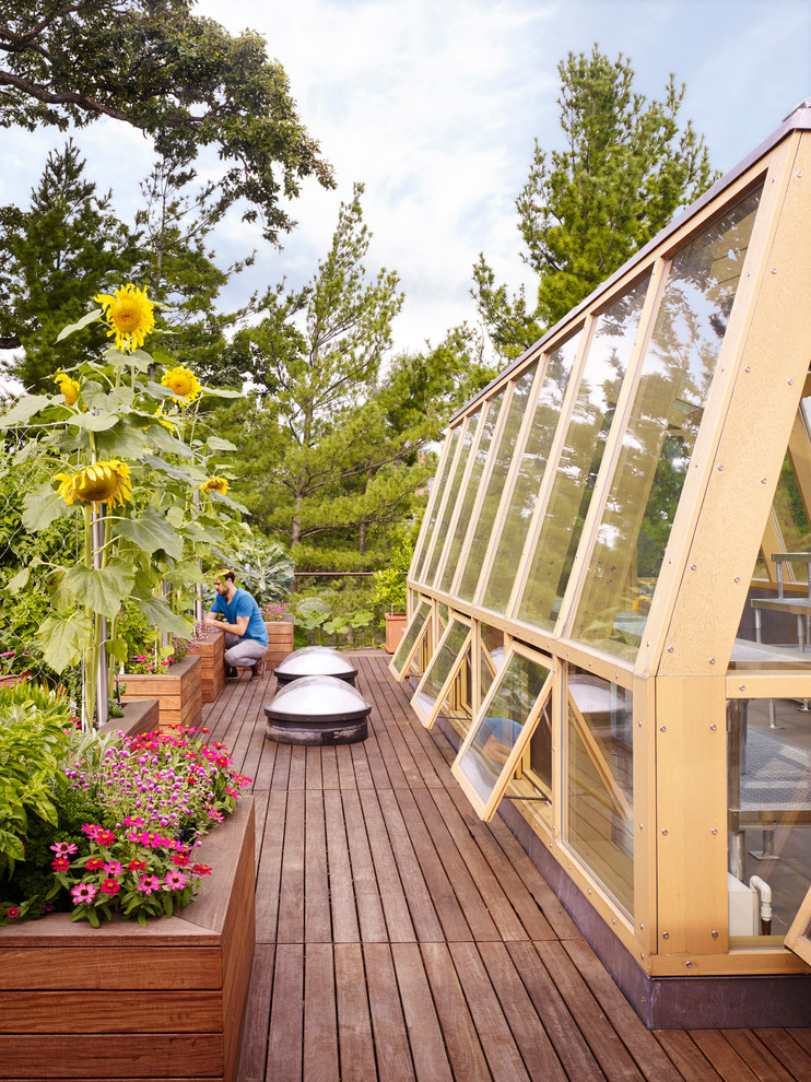 Идея дизайна: большая терраса на крыше, на крыше в современном стиле с растениями в контейнерах