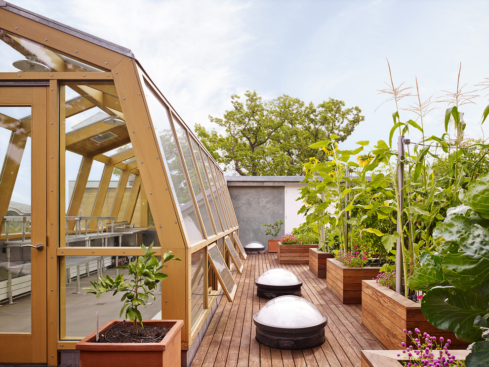 Modelo de terraza actual grande en azotea con jardín de macetas