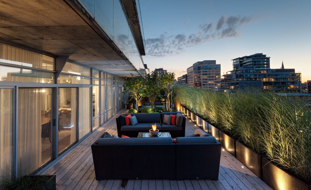 Ispirazione per una terrazza minimal dietro casa con un tetto a sbalzo e un giardino in vaso
