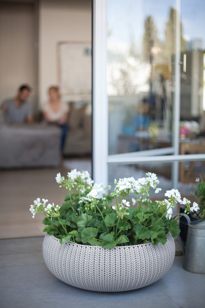 Idées déco pour une terrasse avec des plantes en pots arrière romantique de taille moyenne.