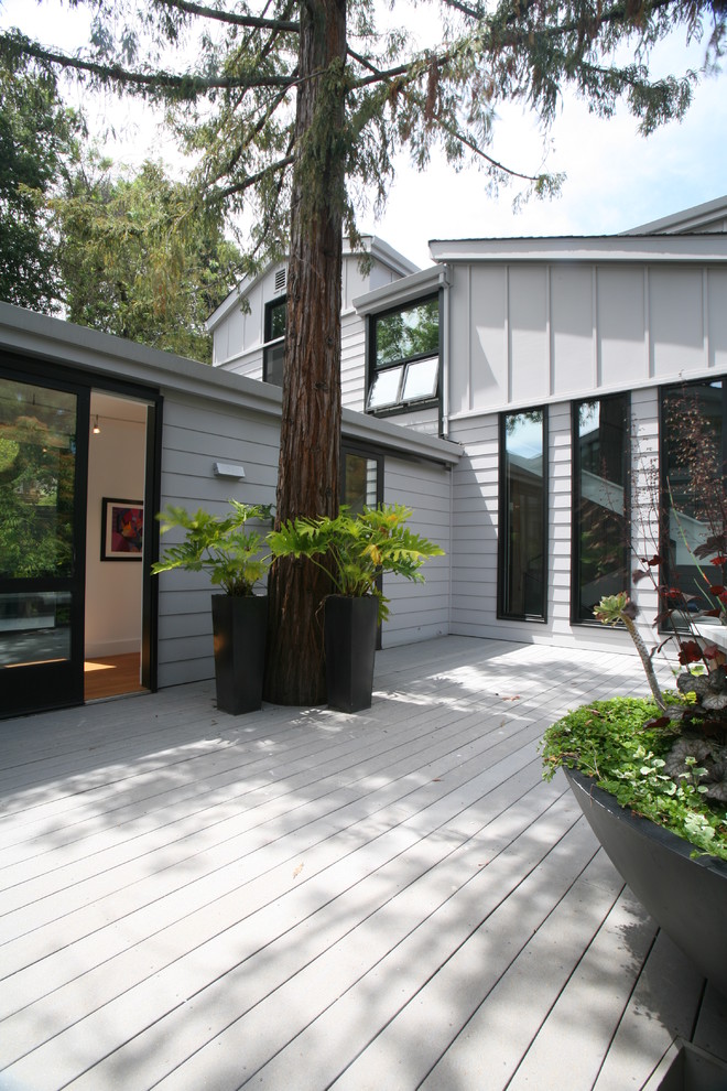 Contemporary terrace in San Francisco.