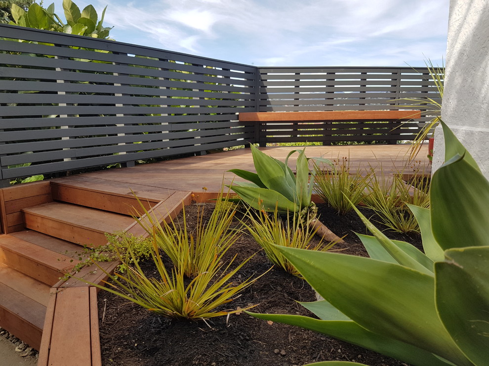 Réalisation d'une terrasse avec des plantes en pots arrière design de taille moyenne avec aucune couverture.