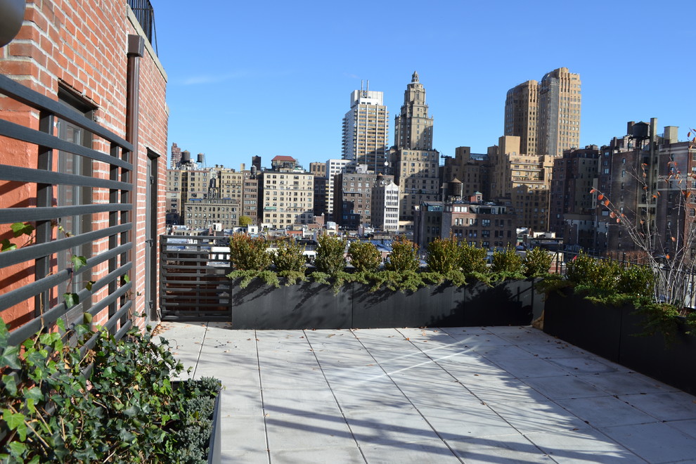 Design ideas for a medium sized modern roof terrace in New York with a potted garden and no cover.