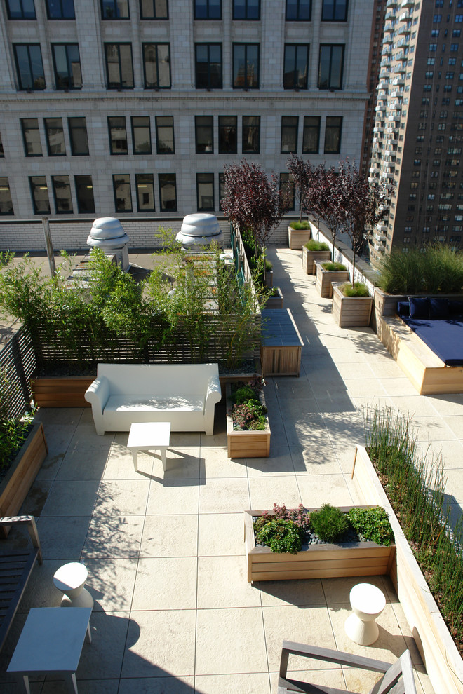 Foto di una grande terrazza design sul tetto con un giardino in vaso