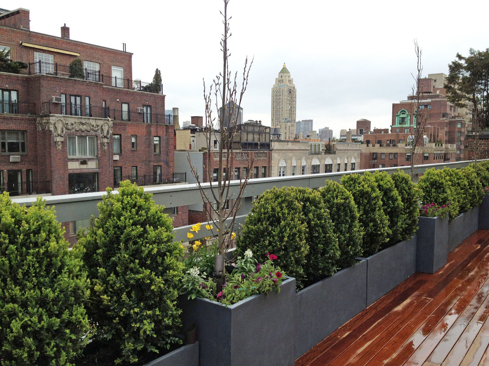 Inspiration for a contemporary rooftop deck container garden remodel in New York