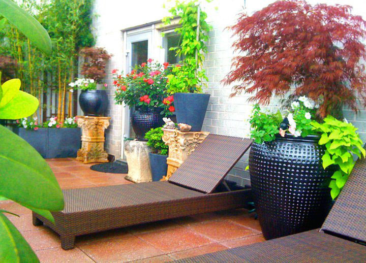 Inspiration for an eclectic roof terrace in New York with a potted garden.